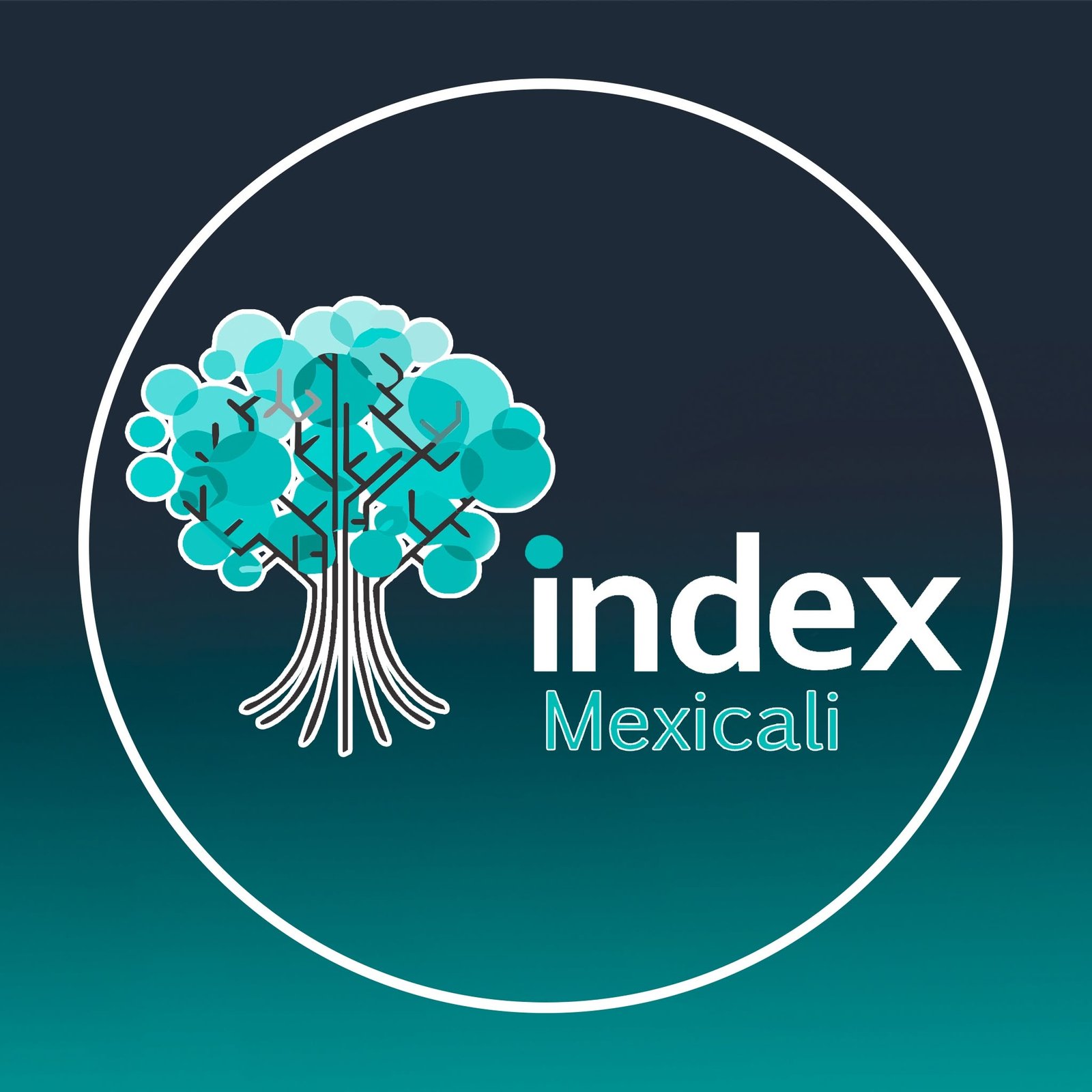 Logo Index Mexicali